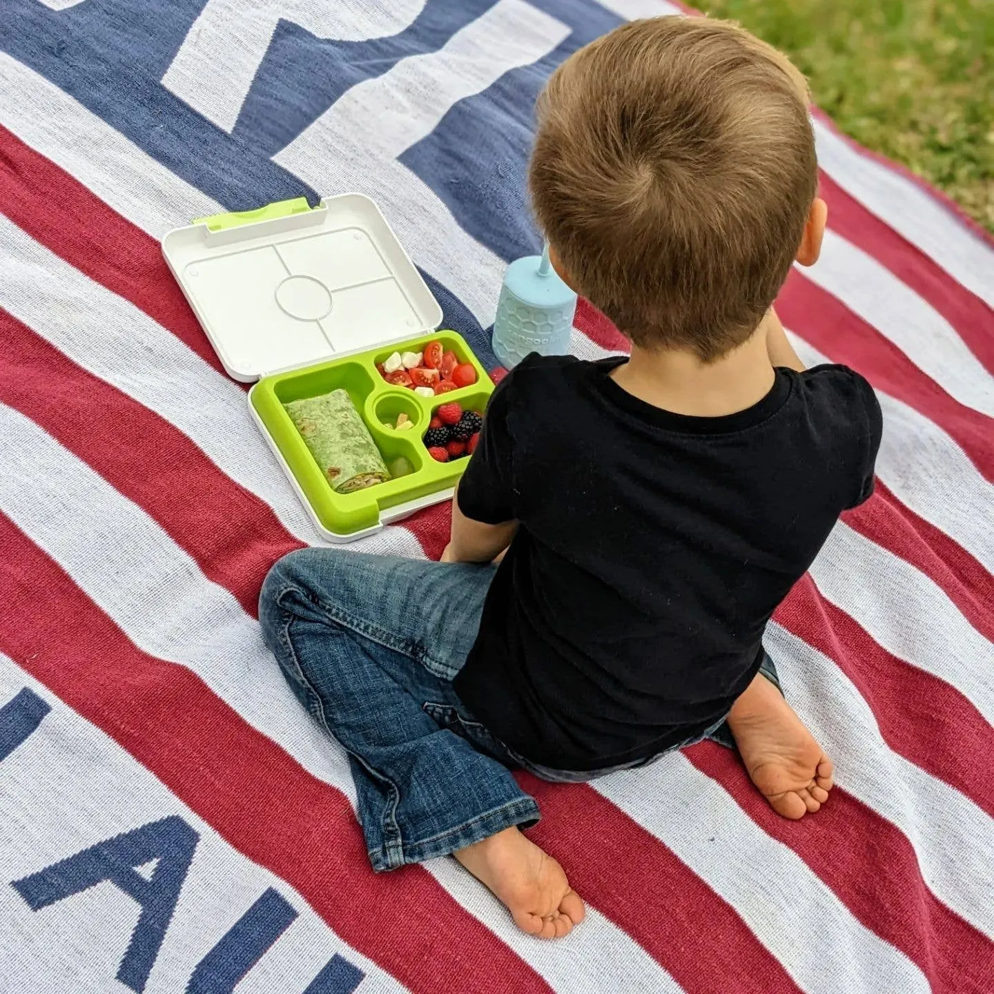 FlexBox Bento Lunch Box - Green