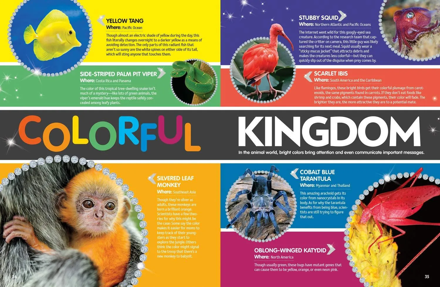 NATIONAL GEOGRAPHIC - The Big Book of Bling - Ritzy rocks, extravagant animals, sparkling science, and more!