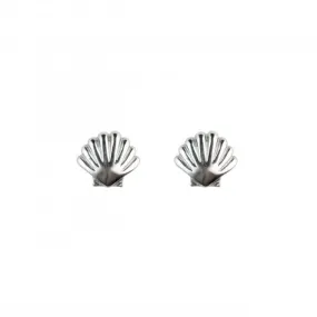 Shell Stud Earrings 46828HP